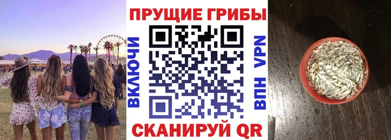 продажа наркотиков  Вяземский  hydra ссылка  Псилоцибиновые грибы MAGIC MUSHROOMS 